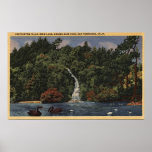 Golden Gate Park, Stow Lake, Huntington Falls Poster