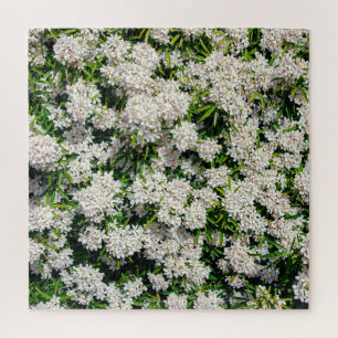 Golden Geometry: Luxurious Fan Motif Jigsaw Puzzle