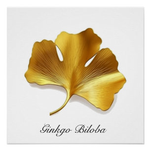 Golden Ginkgo Leaf - Symbol of Longevity & Health Poster