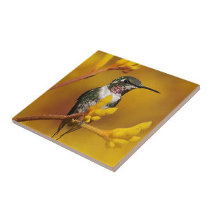 Golden Glow Ceramic Tile