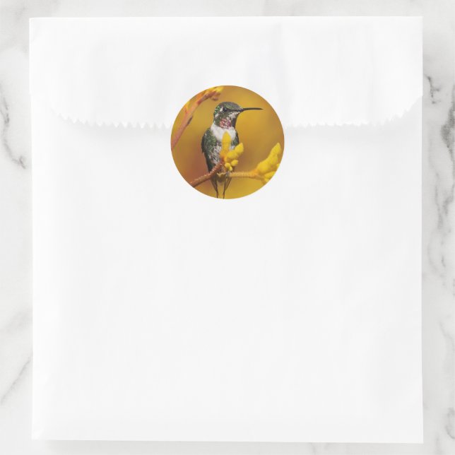 Golden Glow Classic Round Sticker (Bag)