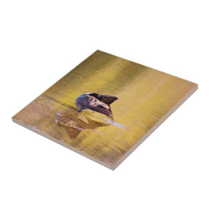 Golden Goose Ceramic Tile
