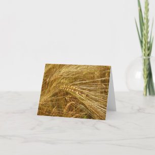Golden Grains of wheat. It’s Harvest Time! Holiday Card