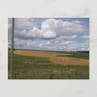 Golden Harvest Fields and Scenic Clouds Landscape Postcard