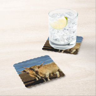 Golden Highlands: The Grace of Fawn-Coloured Cows Paper Coaster