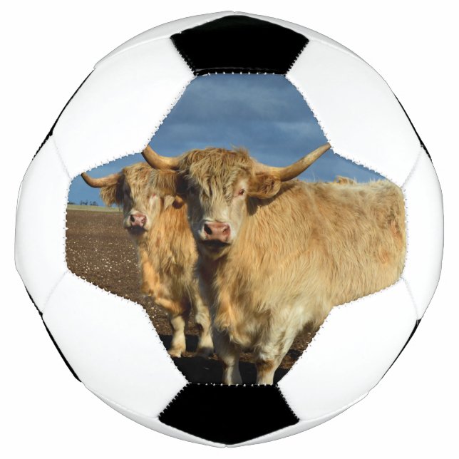 Golden Highlands: The Grace of Fawn-Coloured Cows Soccer Ball (Front)