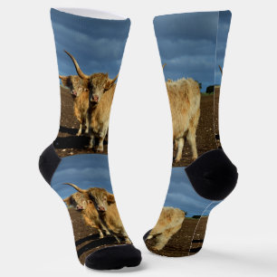 Golden Highlands: The Grace of Fawn-Coloured Cows Socks