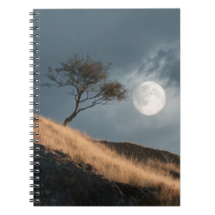 Golden Hill Moonlit Tree Notebook