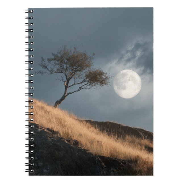 Golden Hill Moonlit Tree Notebook (Front)