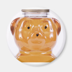 Golden Honey Bear Face View Magnet