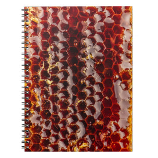 Golden honeycomb notebook