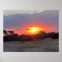Golden Horizon – African Safari Sunset Photo Print