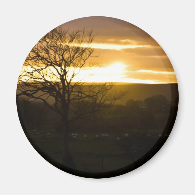 Golden Horizon Magnet (Front)