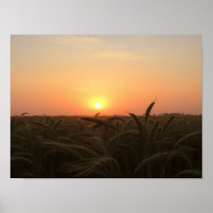 Golden Horizons: The Gentle Glow of Sunset Over a Poster