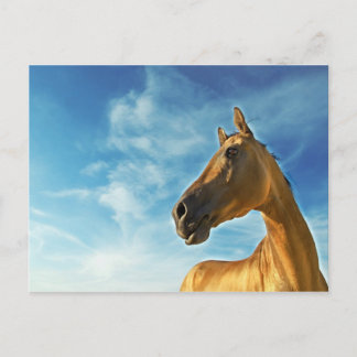 golden horse of Turkmenistan Postcard