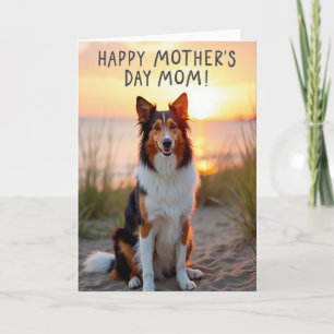 Golden Hour Dog Moms Day Card
