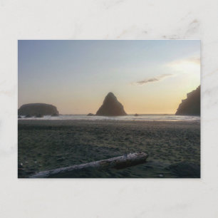 Golden Hour on the Beach Postcard