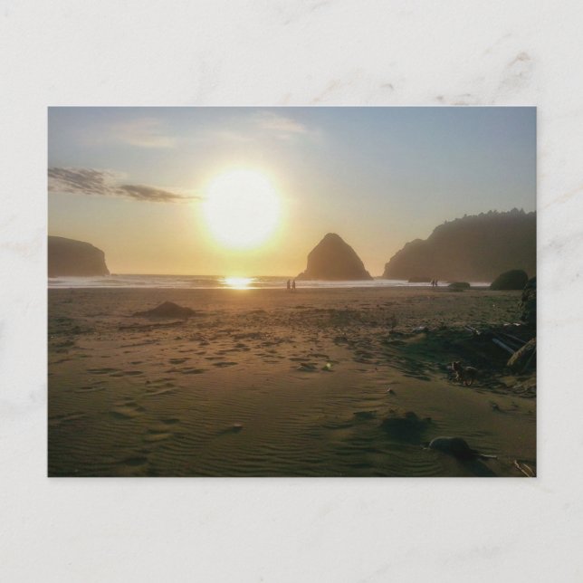 Golden Hour Postcard (Front)