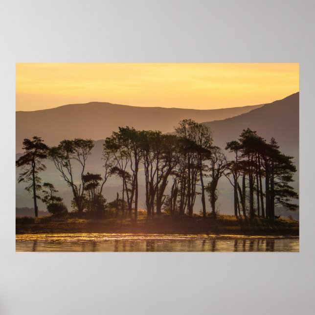 Golden Hour Reflections, Silhouetted Trees Photo Poster (Front)