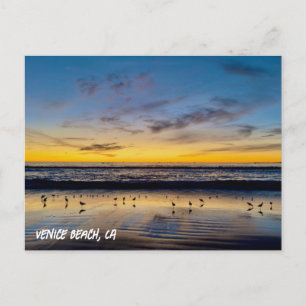 Golden Hour Sunset - Venice Beach, CA Postcard