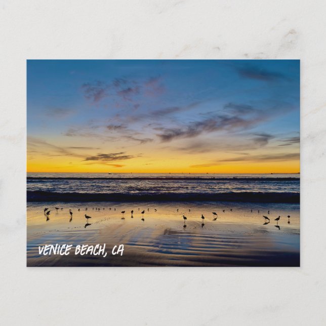 Golden Hour Sunset - Venice Beach, CA Postcard (Front)