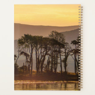 Golden Hour Trees Reflection Planner   Nature Art