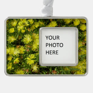 Golden Ice Plant Yellow Flowers Silver Plated Framed Ornament