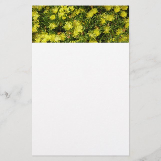 Golden Ice Plant Yellow Flowers Stationery (Front)