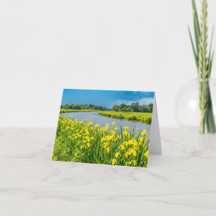 Golden Irises inspiring the symbol Fleur de Lis.  Card
