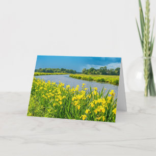 Golden Irises inspiring the symbol Fleur de Lis. Card