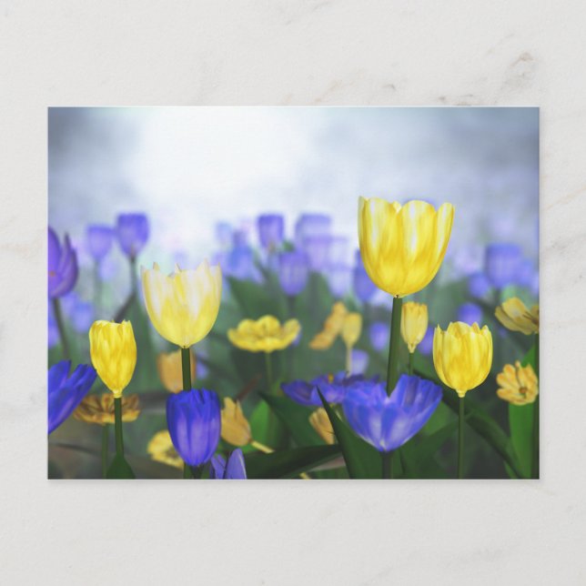 Golden Jubilee Postcard (Front)