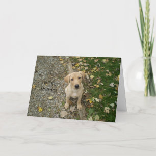 Golden Lab Puppy Card