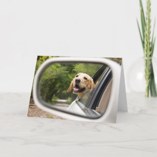 Golden Labrador In Rearview Mirror Card