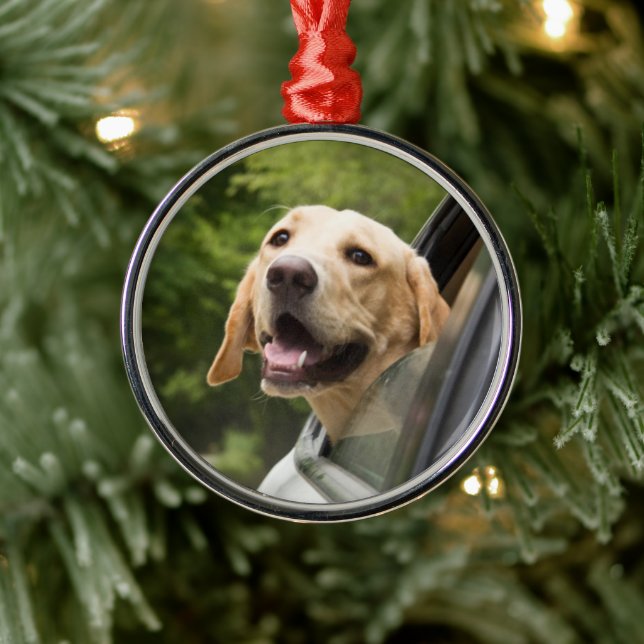 Golden Labrador In Rearview Mirror Metal Ornament (Tree)