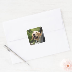 Golden Labrador In Rearview Mirror Square Sticker