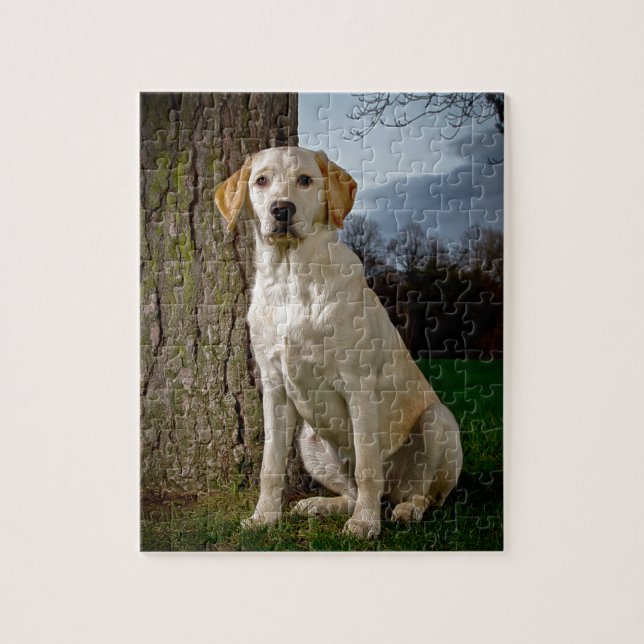 golden Labrador Jigsaw Puzzle (Vertical)