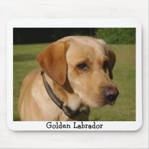 Golden Labrador Mouse Pad
