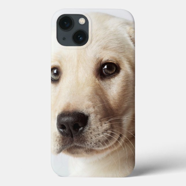 Golden Labrador Puppy Closeup Case-Mate iPhone Case (Back)