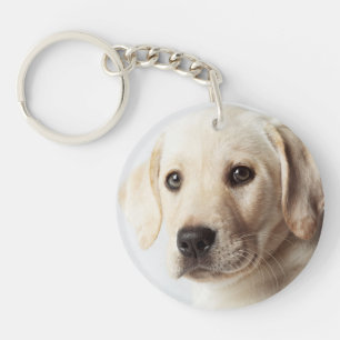 Golden Labrador Puppy Closeup Key Ring