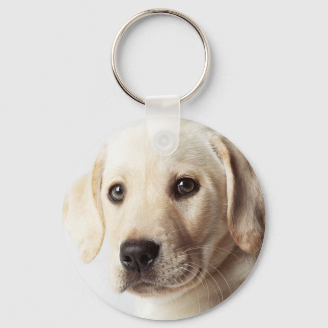 Golden Labrador Puppy Closeup Key Ring (Front)