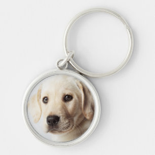 Golden Labrador Puppy Closeup Key Ring