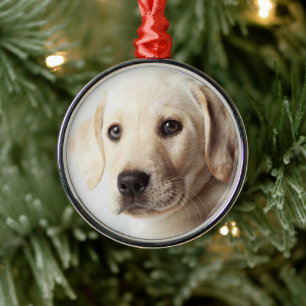 Golden Labrador Puppy Closeup Metal Ornament