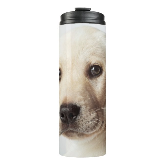 Golden Labrador Puppy Closeup Thermal Tumbler (Front)