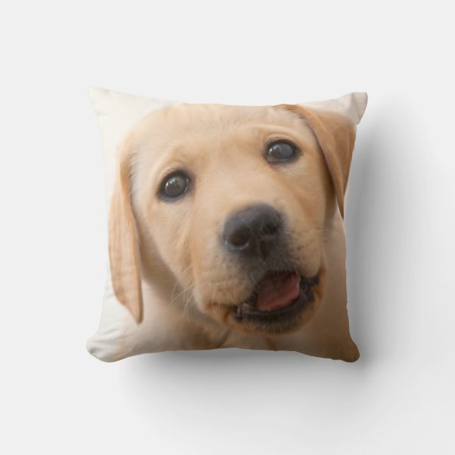 Golden Labrador Puppy Cushion (Front)