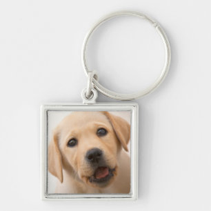 Golden Labrador Puppy Key Ring