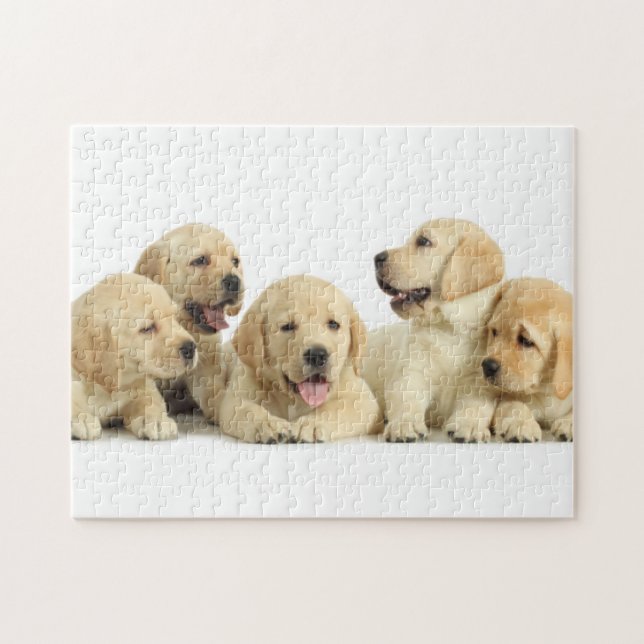 Golden Labrador Puppy Pile Jigsaw Puzzle (Horizontal)
