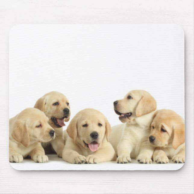 Golden Labrador Puppy Pile Mouse Pad (Front)