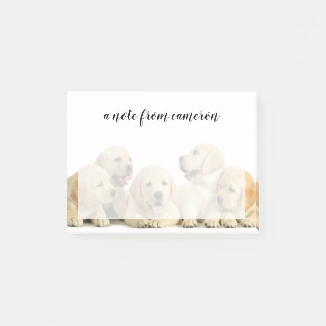 Golden Labrador Puppy Pile Post-it Notes (Front)