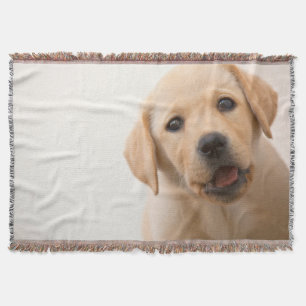 Golden Labrador Puppy Throw Blanket