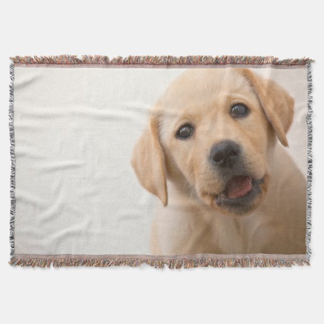 Golden Labrador Puppy Throw Blanket (Front)